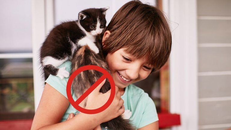 Cette habitude avec votre chien vous expose à 750 € d’amende dès ce 15 avril