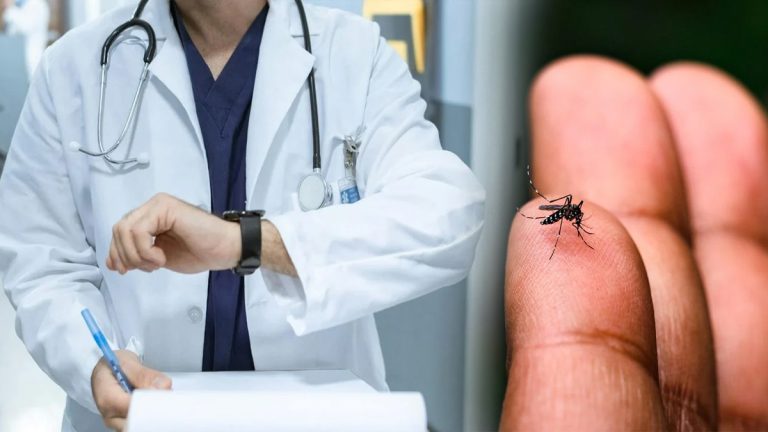 Chikungunya : après un décès et l'apparition d'"événements indésirables graves", les plus de 65 ans exclus de la vaccination avec le vaccin Ixchiq à Mayotte et à La Réunion