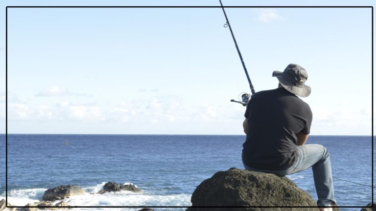 Pêche à La Réunion : les flottes locales en danger, l’Europe appelée à réagir