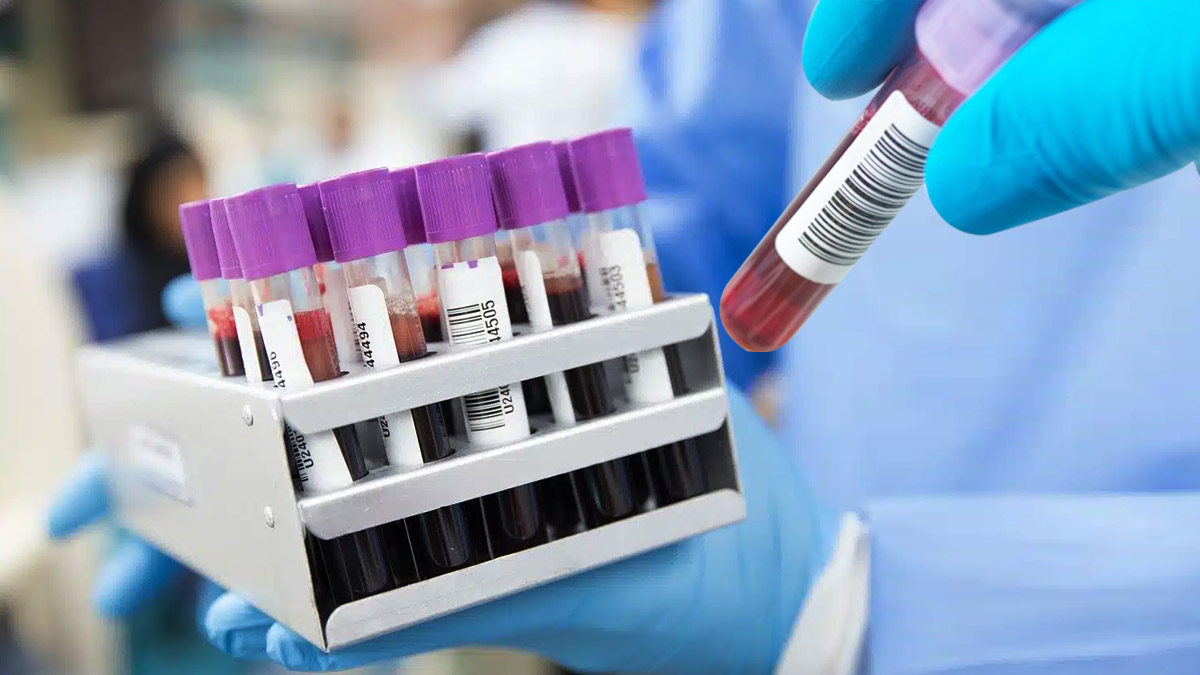 Vieillir moins vite : un groupe sanguin pourrait être lié à une longévité exceptionnelle