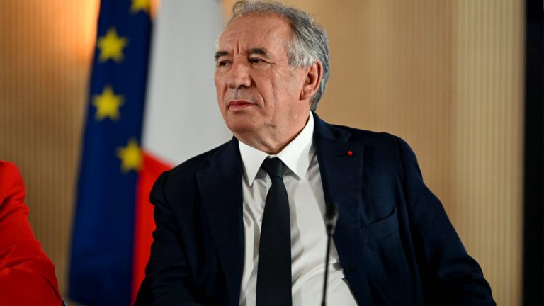 François Bayrou en jet privé pour un discours sur l’écologie : la pilule ne passe pas