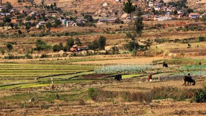 Madagascar–Israël : un nouveau partenariat réveille la peur d’une spoliation des terres