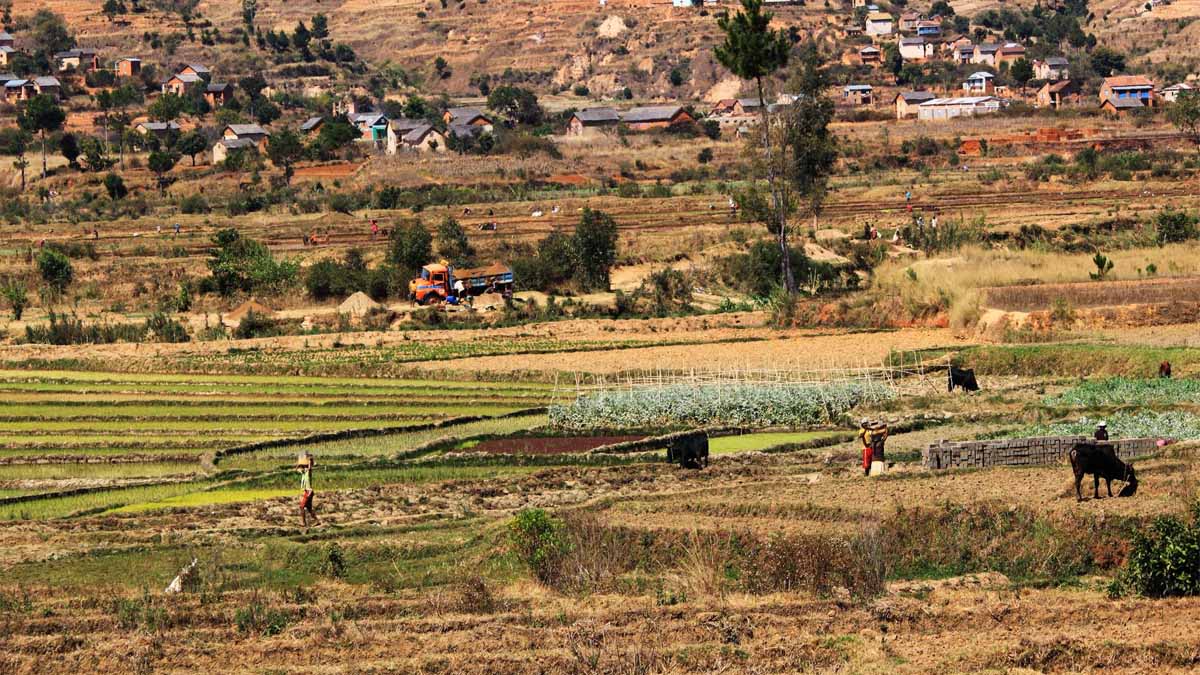 Madagascar–Israël : un nouveau partenariat réveille la peur d’une spoliation des terres