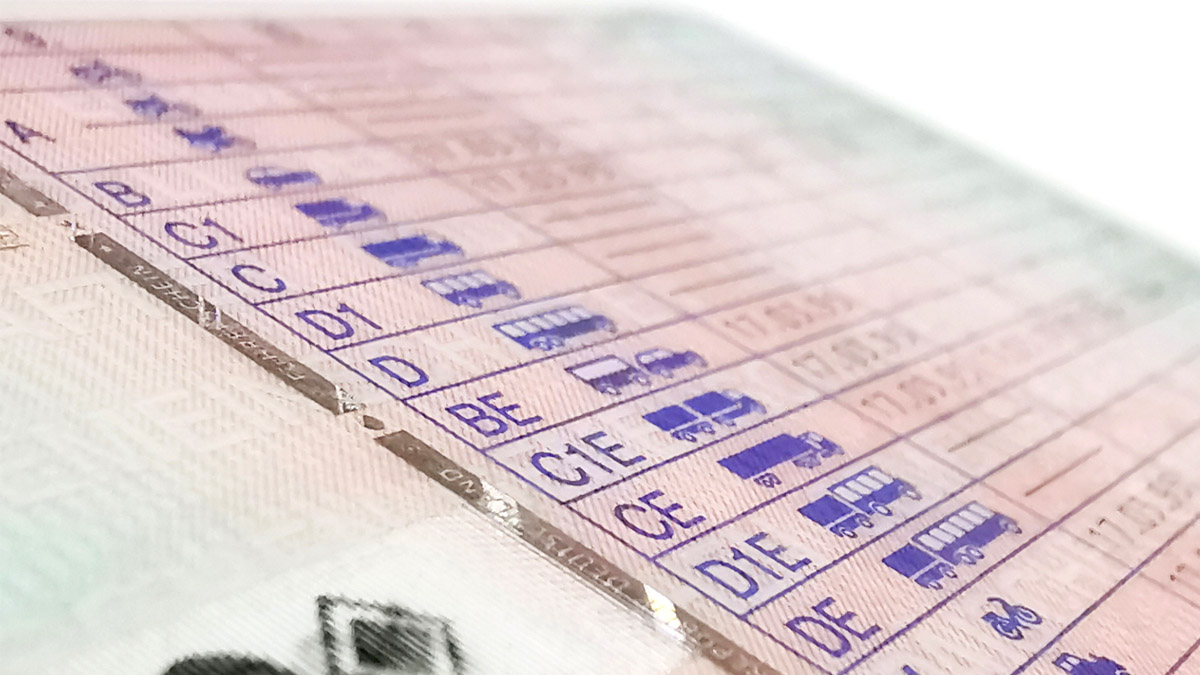 Votre permis de conduire change en 2025 : voici les principales nouveautés