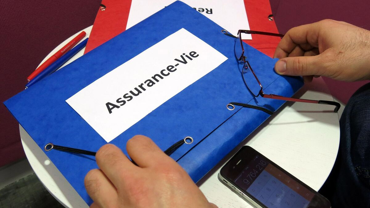 Assurance-vie : découvrez les frais cachés qui réduisent vos gains