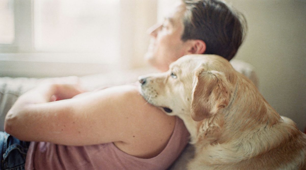chien nez contre triste vétérinaire